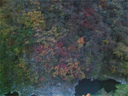 大川荘3.jpg