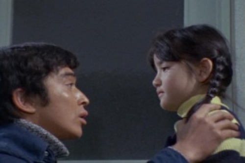 PDVD_018.jpg