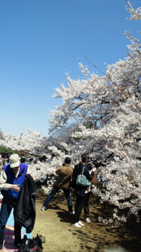 NEC_0733.jpg