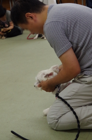 IMGP1082.jpg