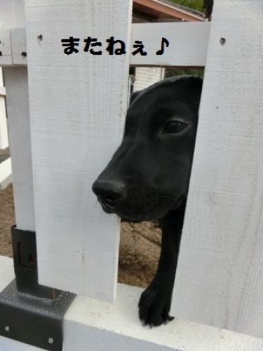 ジュリアちゃん.JPG