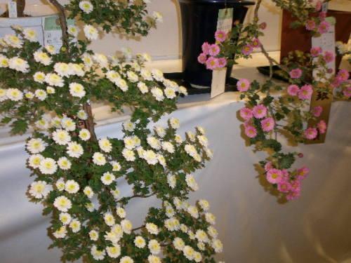 PB020002.JPG