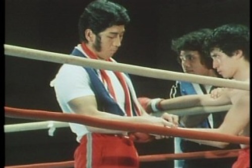 PDVD_002.jpg