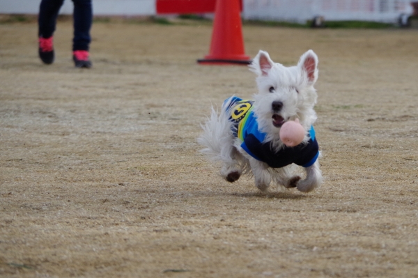 IMGP0126編集.jpg
