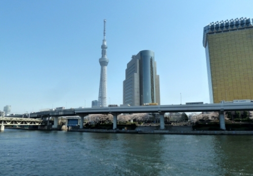 pict-墨田公園 3.jpg