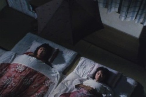 PDVD_022.jpg