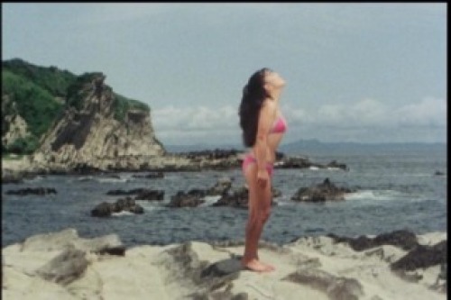 PDVD_031.jpg