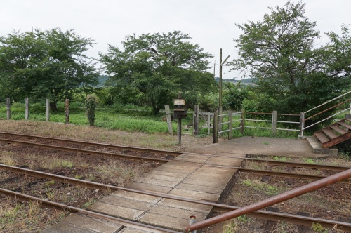 DSC05280.JPG