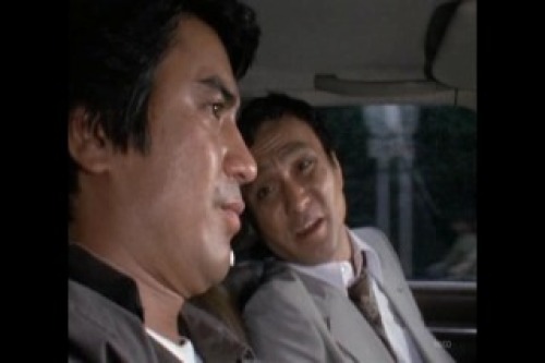 PDVD_033.jpg