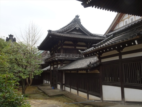 DSC04157_R.JPG