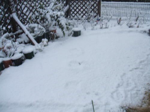 DSCF4616.JPG