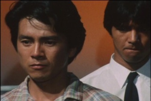 PDVD_078.jpg