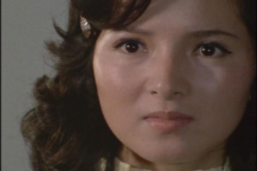 PDVD_012.jpg