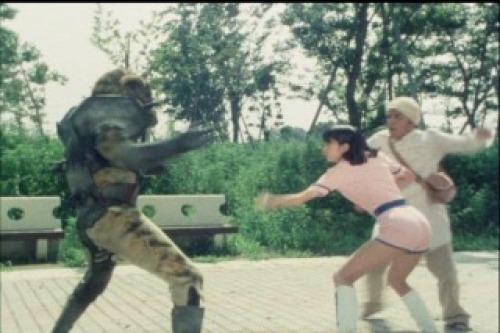 PDVD_008.jpg