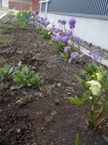 DSCN0324 (480x640).jpg