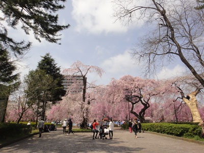 榴岡31.jpg