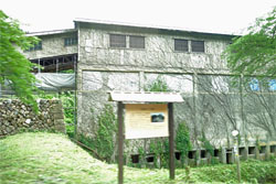金山2.jpg