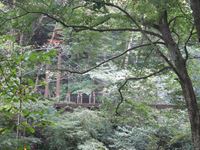 IMG_0110_R.JPG