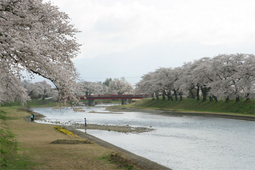 斉内川3.jpg