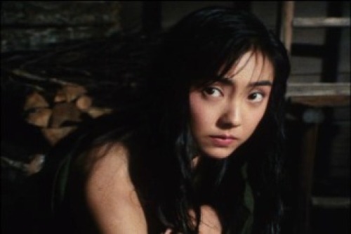 PDVD_011.jpg
