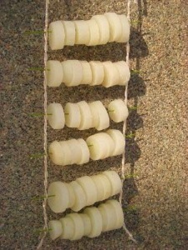 DSCN4848 (300x225).jpg