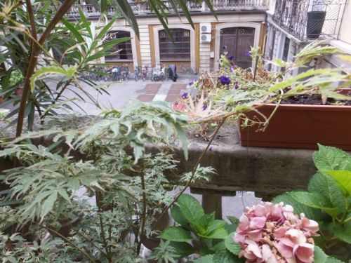 11 lunedi terazzo4.jpg