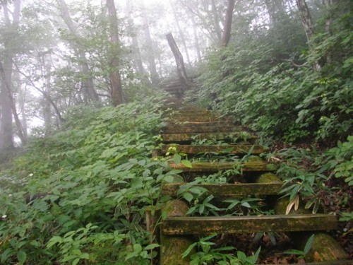 榛名外輪山氷室山 (1) (500x375).jpg