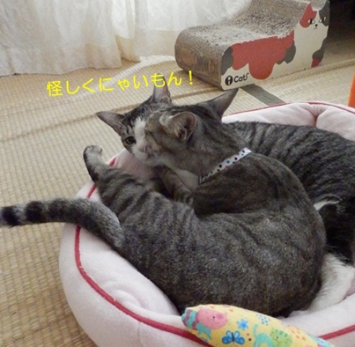 20150921_3.jpg