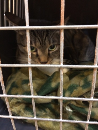 IMG_0698 - コピー.JPG