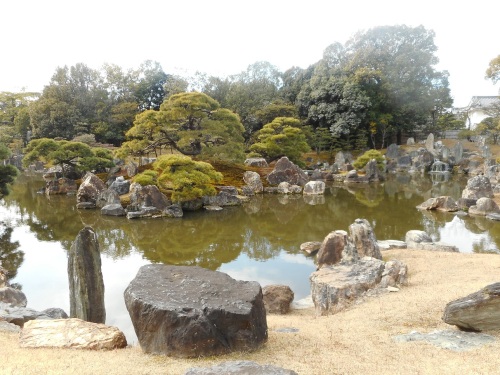 二条城二の丸庭園 (9).JPG