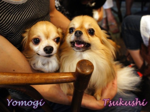 yomotsuku20130824-11.JPG