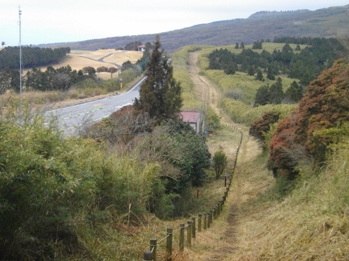 箱根外輪山山伏峠 (1) (500x375).jpg