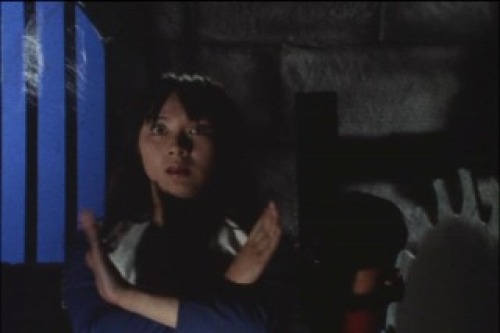PDVD_076.jpg
