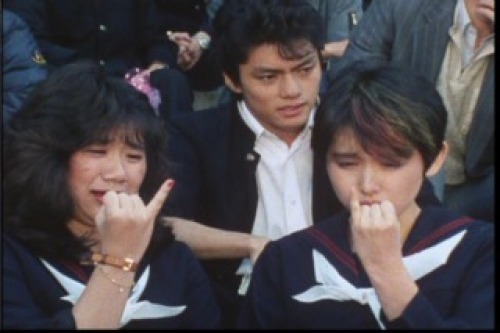 PDVD_031.jpg