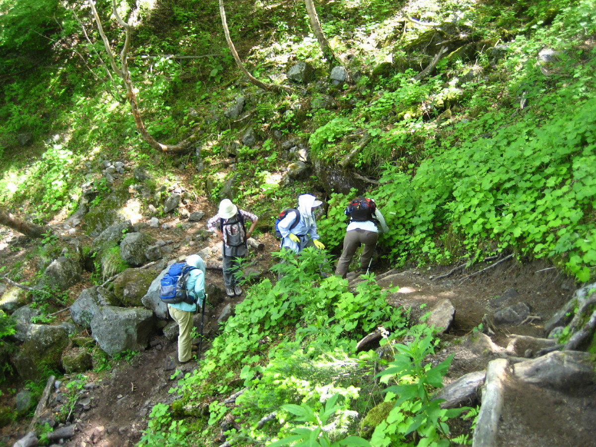 花旅アーカイブス （2010年7月19日の日光白根山） | 栃木の花旅 - 楽天ブログ