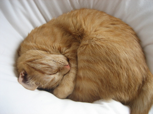 Sept. 23, 2013(11).JPG