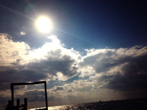 201211210006_7121_iphone.jpg