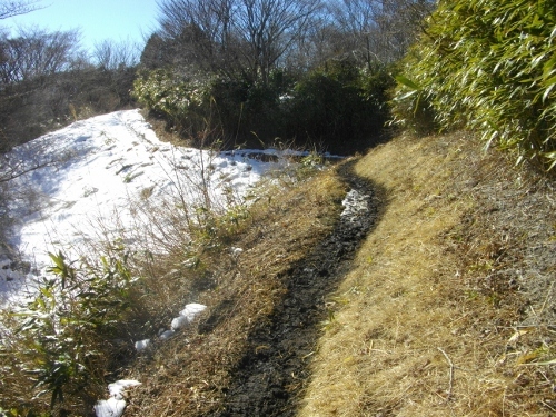 箱根外輪山明神ヶ岳 (27) (500x375).jpg