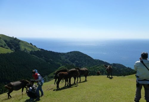 都井岬３.JPG