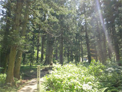 羽黒山10.jpg