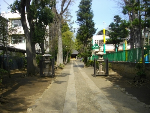 志村城熊野神社 (1) (500x375).jpg