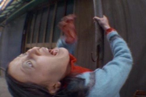 PDVD_005.jpg