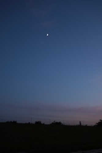 P1160080 のコピー.JPG