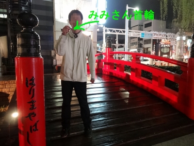 18 はりまやはし.jpg