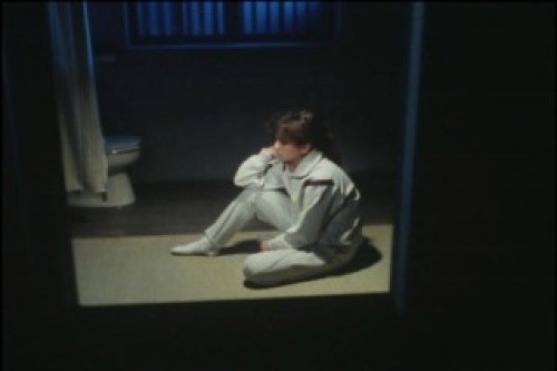 PDVD_029.jpg