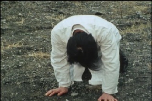 PDVD_034.jpg