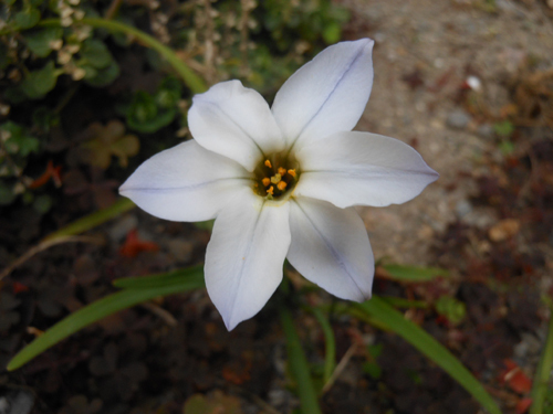 DSCN1187.JPG