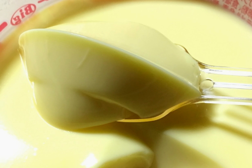 20170320 Bigプッチンプリン 3.JPG