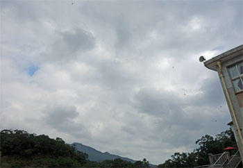 台湾317.jpg