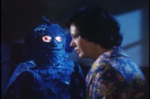 PDVD_005.jpg